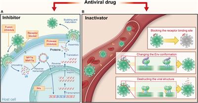 Protein- and Peptide-Based Virus Inactivators: Inactivating Viruses Before Their Entry Into Cells